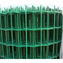 PVC Coated Euro Fence Netting (TS-J319)